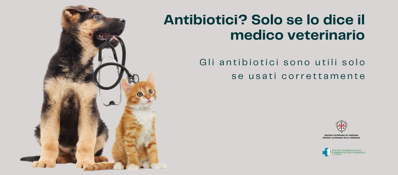 Antibiotico Resistenza foto campagna informativa